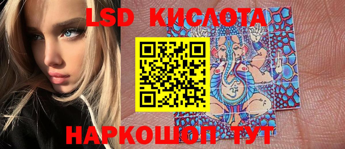 Наркотические марки 1500мкг Сегежа