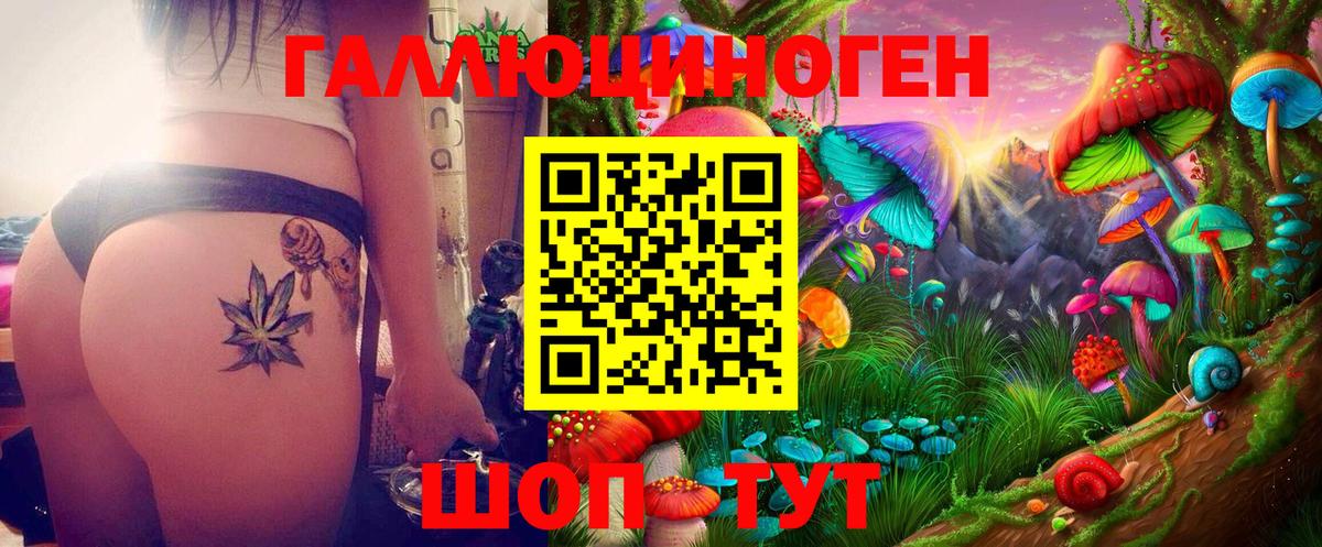 Псилоцибиновые грибы GOLDEN TEACHER  Вход с VPN  Псилоцибиновые грибы GOLDEN TEACHER  как найти наркотики  Сегежа 